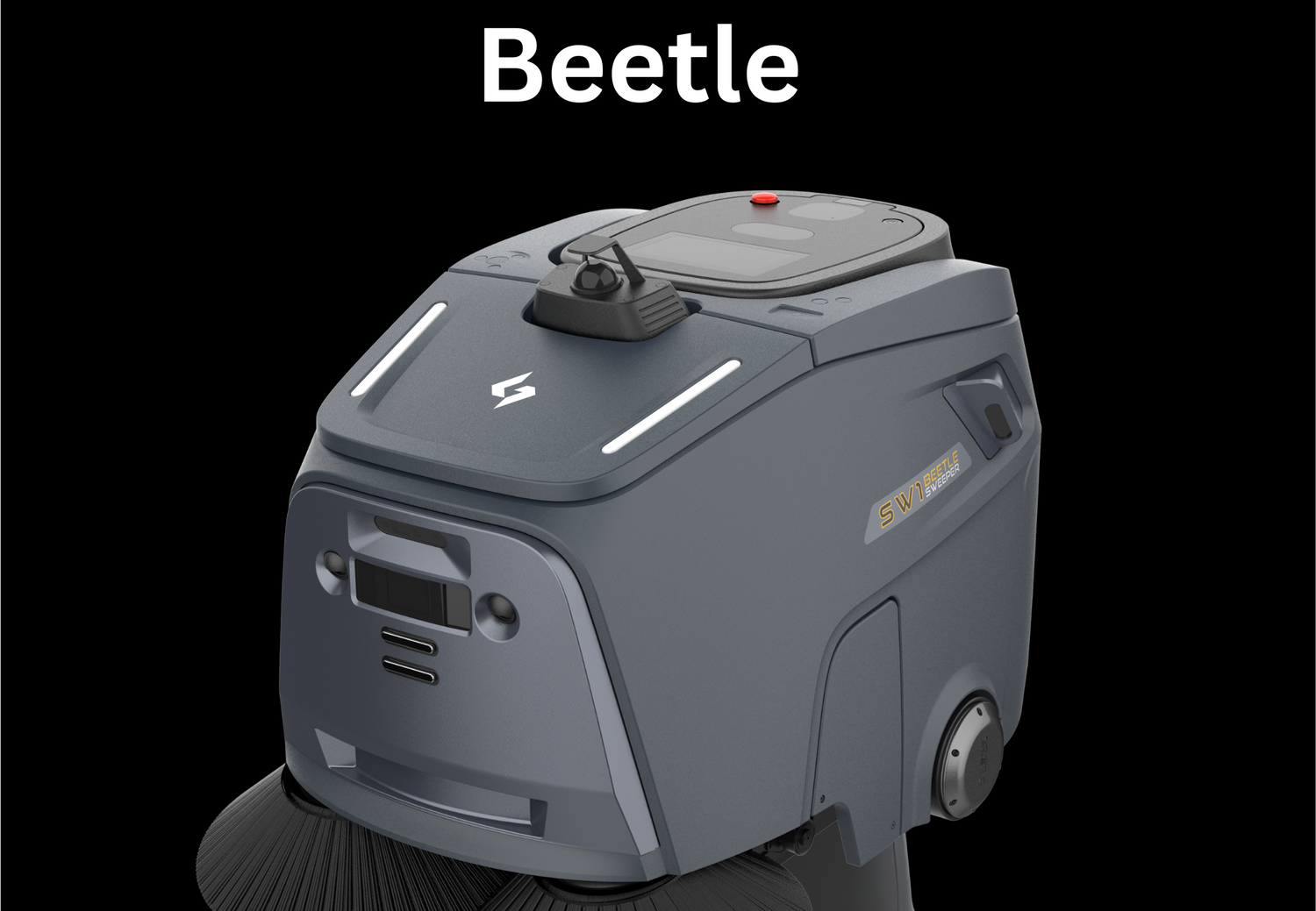 Beetle